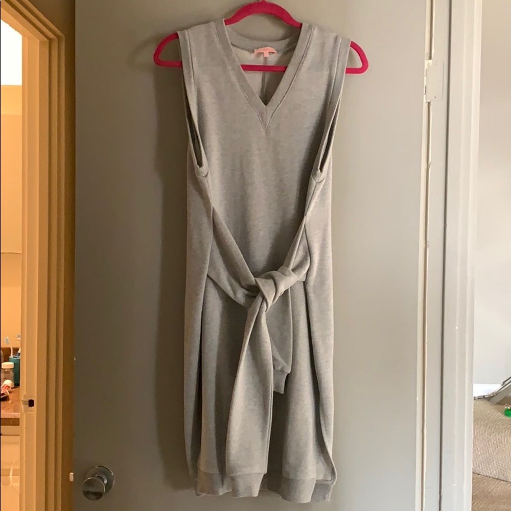 EUC Sweatshirt dress